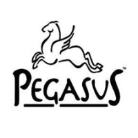 Pegasus Foods Inc