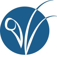 Vietnamese American Initiative For Development (VietAID) logo