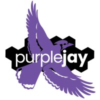 Purple Jay (SDVOSB) logo