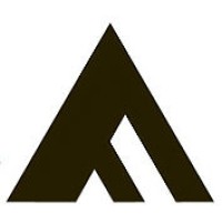 American Financial Advisors, LLC logo