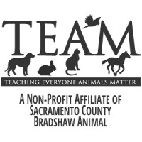 T.E.A.M. (Teaching Everyone Animals Matter) Non-profit Affiliate For Bradshaw Animal Shelter logo