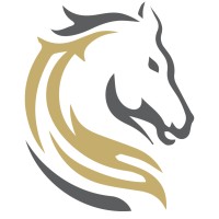 Stallions Solutions - Microsoft Gold Partner logo