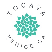 Tocaya Modern Mexican logo
