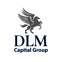 DLM Capital Group logo
