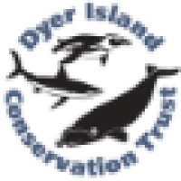 Dyer Island Conservation Trust logo