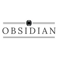 Obsidian Insurance Holdings, Inc logo