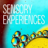 Sensory Experiences logo