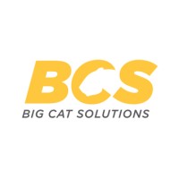 Big Cat Solutions logo