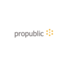 Pro Public logo