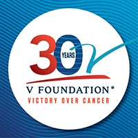 The V Foundation logo