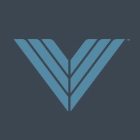 Vanguard International Group logo