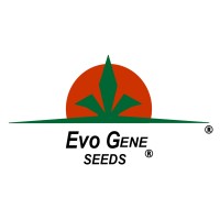 Evo Gene Seeds Corporation logo