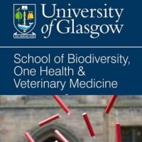 Image of University of Glasgow School of Veterinary Medicine