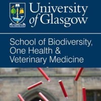 University of Glasgow School of Veterinary Medicine logo