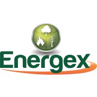 Energex Corporation logo