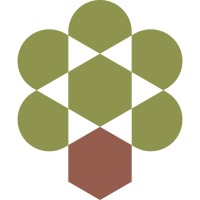 Olive Tree Capital logo