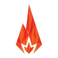 Bonfire Marketing Company logo