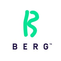 BERG LLC logo