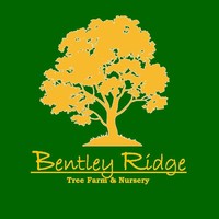 Bentley Ridge Tree Farm And Nursery logo