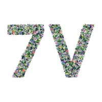 The 7 Virtues Beauty Inc. logo