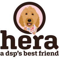 Hera Solutions logo
