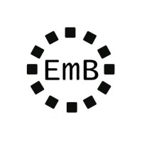 Embright Infotech Pvt Ltd logo