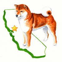 Shiba Inu Fanciers Of Northern California logo