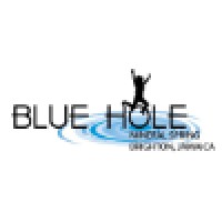 Blue Hole Mineral Spring | Jamaica logo