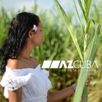 Image of Grupo Azucarero AZCUBA