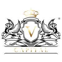 V CAPITAL GROUP logo