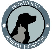 Norwood Animal Hospital logo