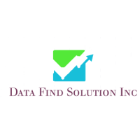 Data Find Solution Inc logo