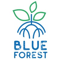 Image of Blue Forest