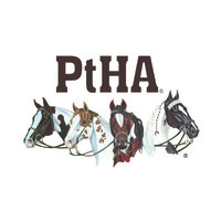 Pinto Horse Association Of America, Inc. logo