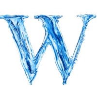 W Companies logo