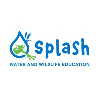 Sacramento Splash logo