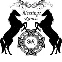Blessings Ranch Of Central Texas logo