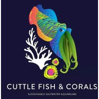 CUTTLE FISH AND CORALS LLC logo