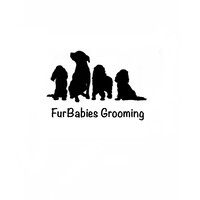 FurBabies Grooming logo