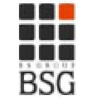 BS Limited logo