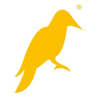 Yellowhammer Multimedia, LLC logo
