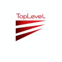 Top Level Staffing Division logo