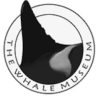 The Whale Museum logo