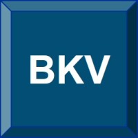 BKV Learning Systems Private Limited logo