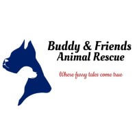 Buddy And Friends Animal Rescue logo