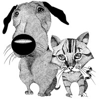 Village Veterinary Practice logo