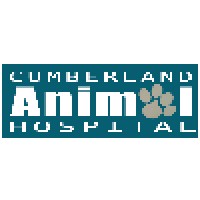Cumberland Veterinary Hospital logo