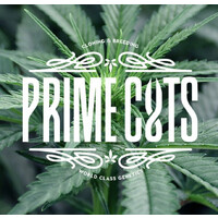 Prime Cuts Cannabis Nursery And Seed Bank logo