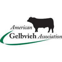 American Gelbvieh Association logo