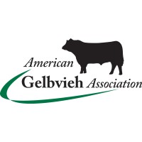 American Gelbvieh Association